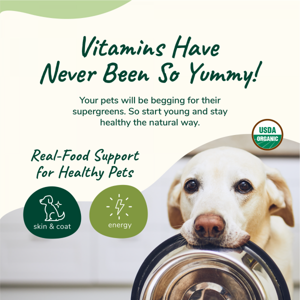 Organic Healthy Skin + Coat Supplement (Vitaboost)