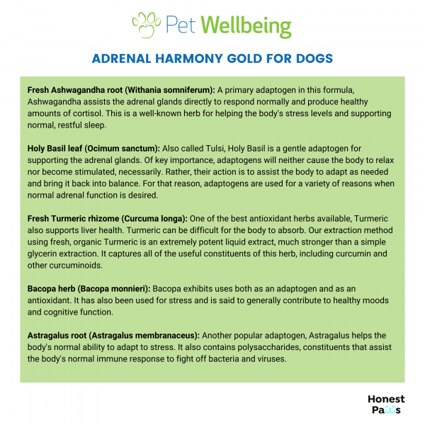 Adrenal Harmony Gold (Cushing's) - Dogs