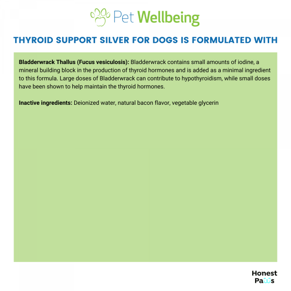 Thyroid Support Silver (Hypothyroid) - Dogs