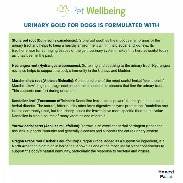 Urinary Gold (Urinary Tract Health) - Dogs