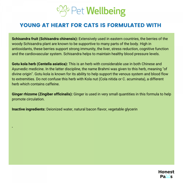 Young at Heart (Healthy Heart) - Cats