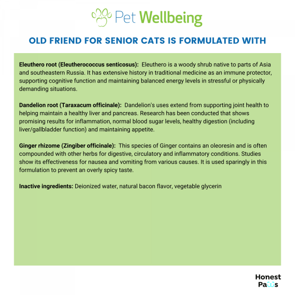 Old Friend (Senior) - Cats