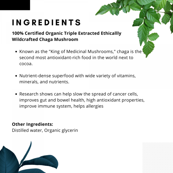 Chaga Mushroom Liquid Triple Extract (Vitality)