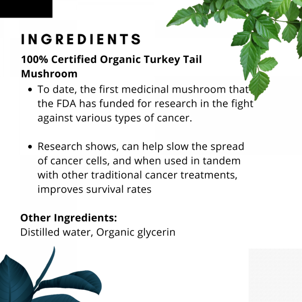 Turkey Tail Liquid Extract (Immunity)