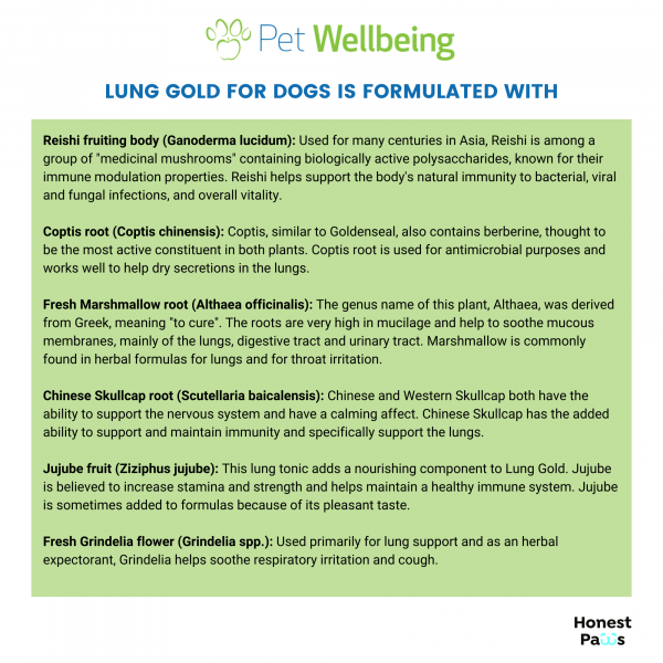 Lung Gold (Lower Respiratory Tract Support) - Dogs