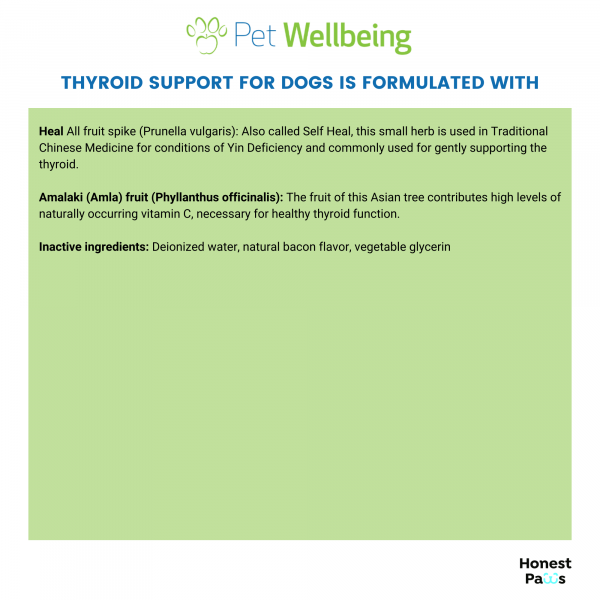 Thyroid Support Gold (Hyperthyroid) - Dogs