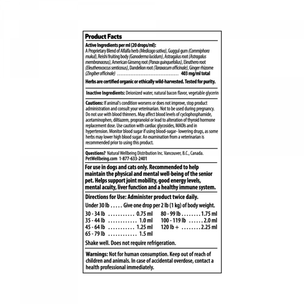 Old Friend (Senior) - Cats