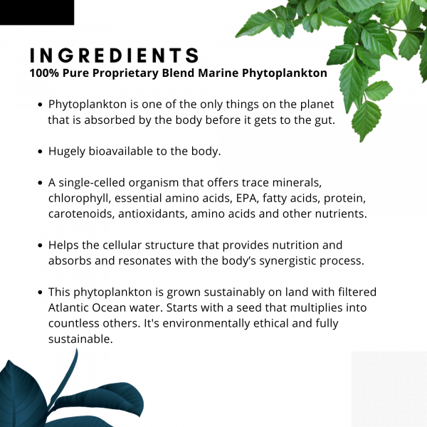 Phyto Synergy (Super Antioxidant)