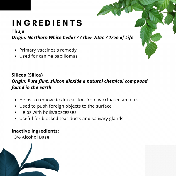 Rebalancer (Anti-Vaccinosis)