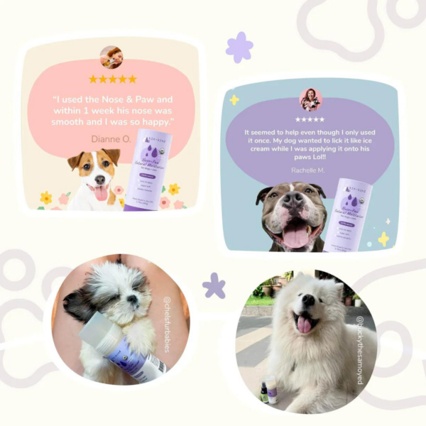 Organic Nose & Paw Moisturizer Stick