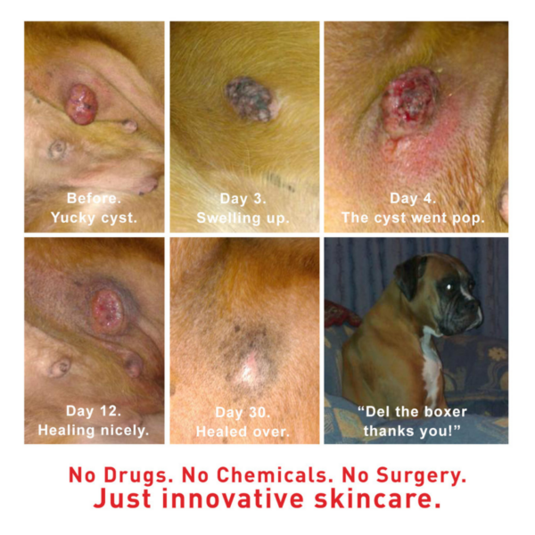 Augustine's SuperHeal