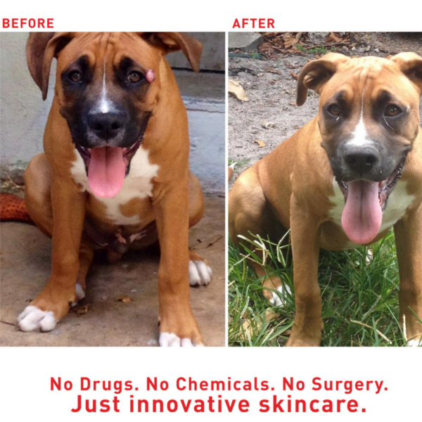 Augustine’s SuperHeal