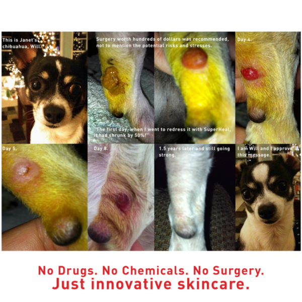 Augustine’s SuperHeal