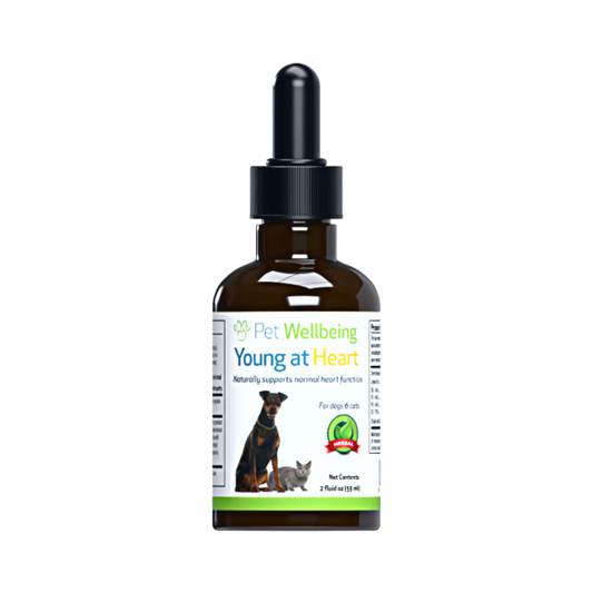 Young at Heart (Healthy Heart) - Dogs