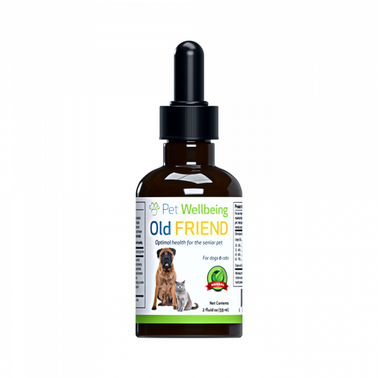 Old Friend (Senior) - Dogs