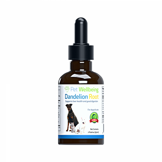 Dandelion Root (Digestive & Liver Support) - Cats