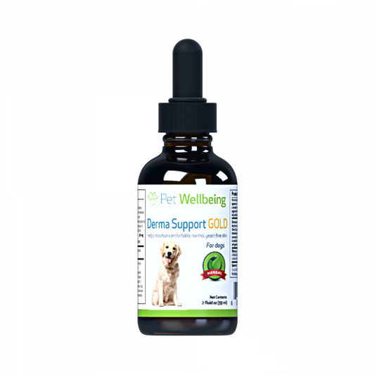 Derma Support Gold (Healthy Coat, Odor & Itching) - Dogs