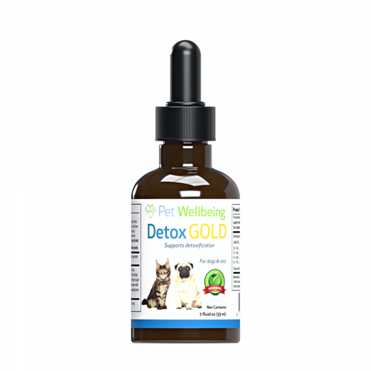 Detox Gold (Gentle Detoxification & Elimination Support) - Cats
