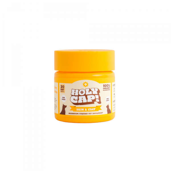 Holy Cap Skin and Coat