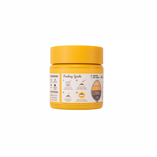 Holy Cap Skin and Coat