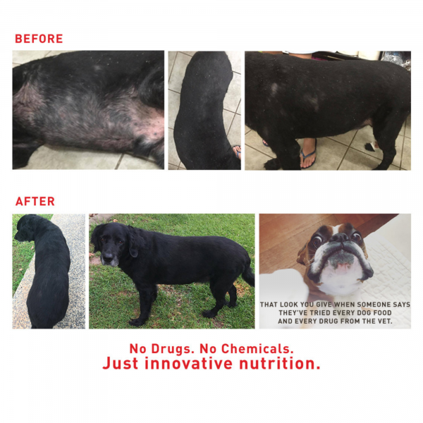 Faith's Cleanse and Detox