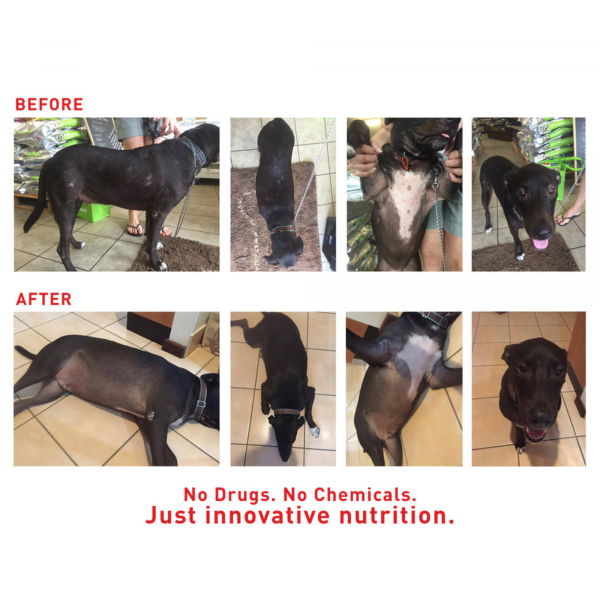 Faith's Cleanse and Detox