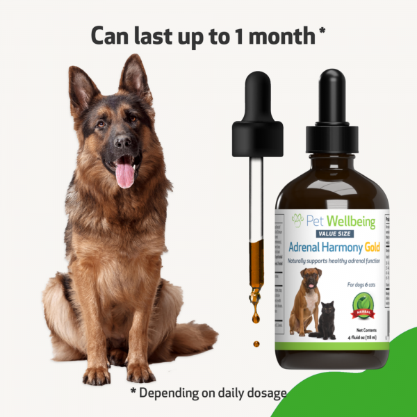 Adrenal Harmony Gold (Cushing's) - Dogs