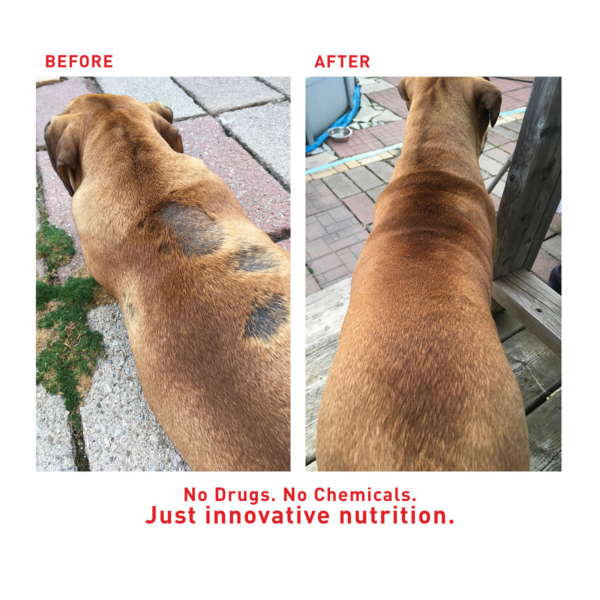 Faith's Cleanse and Detox