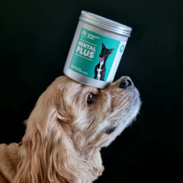 Dental Plus Supplement