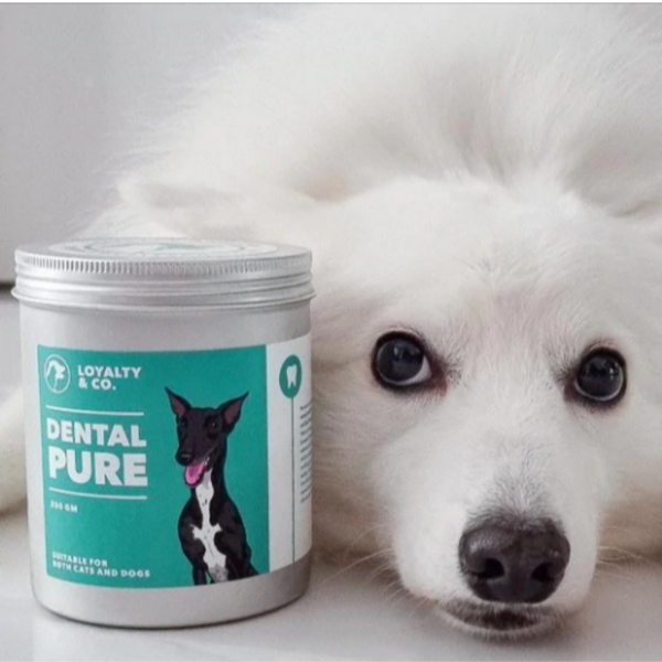 Dental Pure Supplement