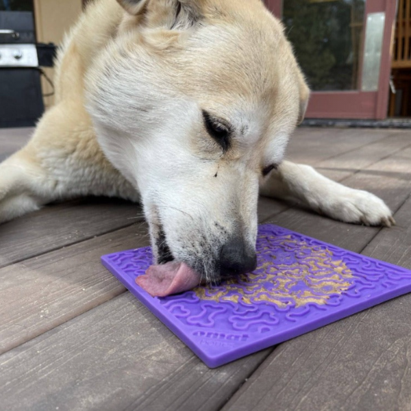 Bones Enrichment Lick Mat