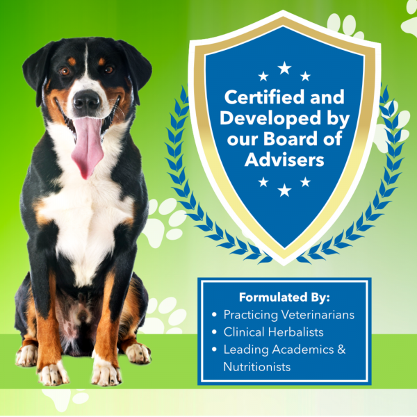 Adrenal Harmony Gold (Cushing's) - Dogs