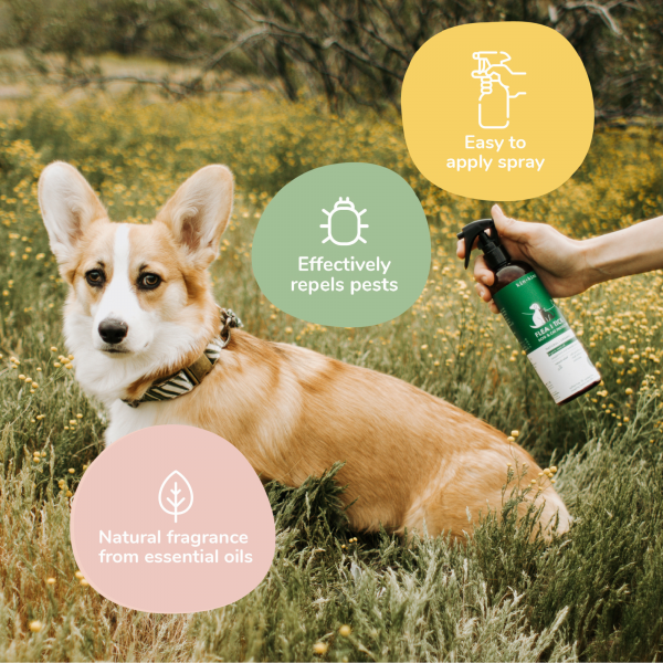 Natural Flea & Tick Repel Spray for Dogs & Cats (Lemongrass)