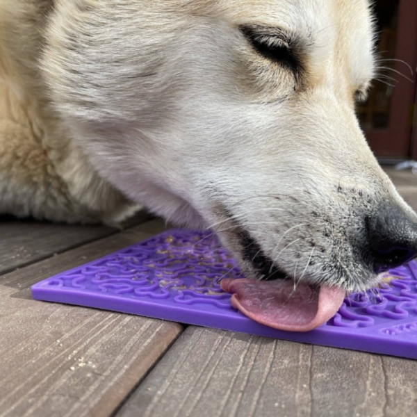 Bones Enrichment Lick Mat