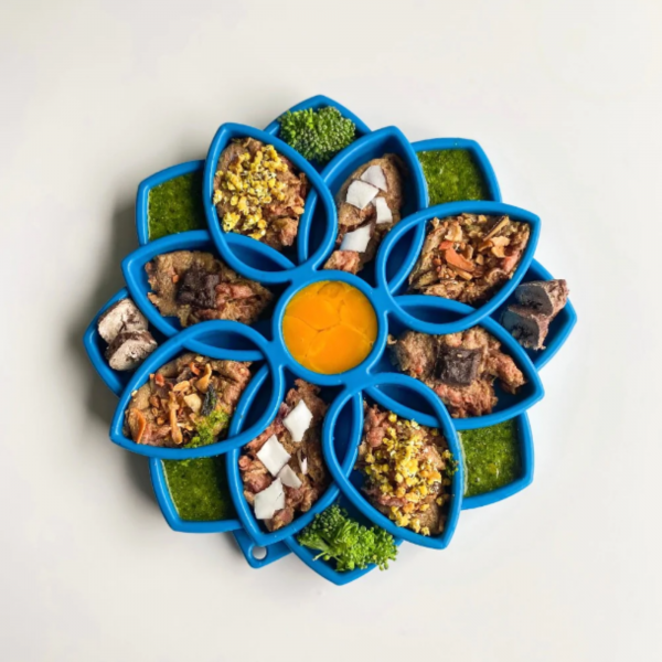 Mandala Enrichment Tray