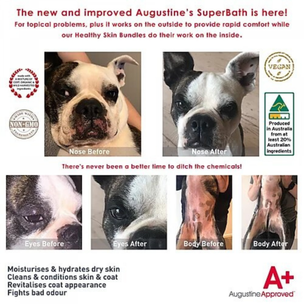 Augustine's Superbath