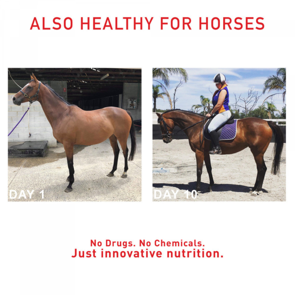 Augustine's Superboost