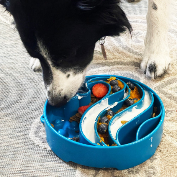 Wave Enrichment Slow Feeder Bowl for Dogs