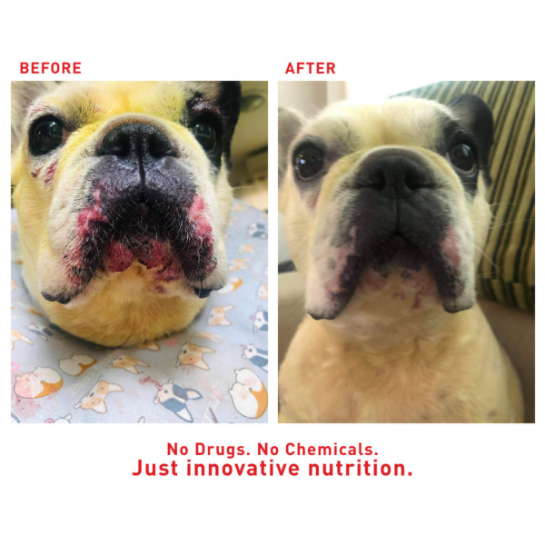 Faith's Cleanse and Detox