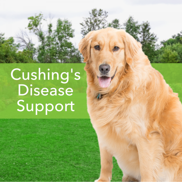 Adrenal Harmony Gold (Cushing's) - Dogs