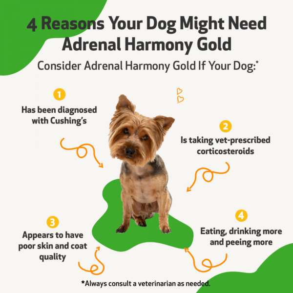 Adrenal Harmony Gold (Cushing's) - Dogs