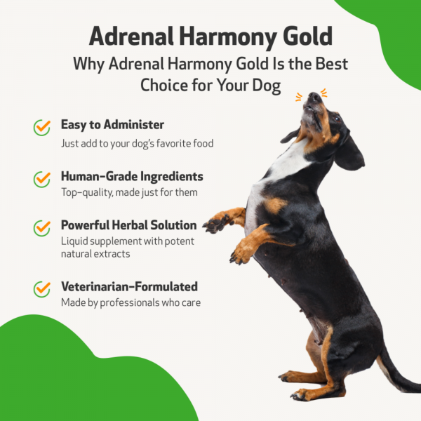 Adrenal Harmony Gold (Cushing's) - Dogs