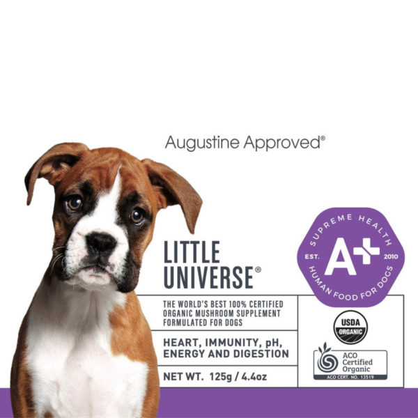 Augustine’s Little Universe
