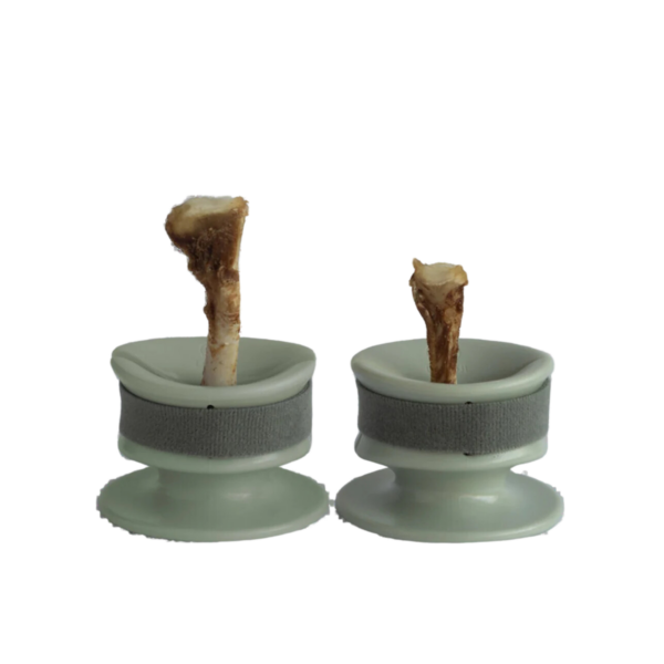 CHEWDEN Set Grip + Base