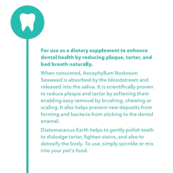 Dental Plus Supplement