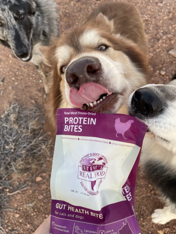 Chicken Protein Bites (Freeze Dried, Gut Boost)