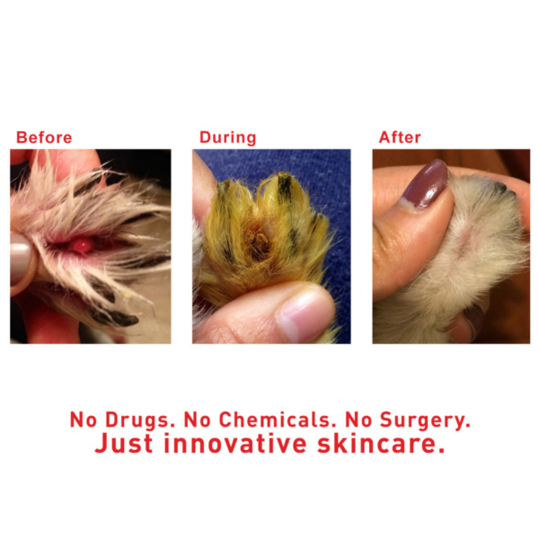 Augustine’s SuperHeal