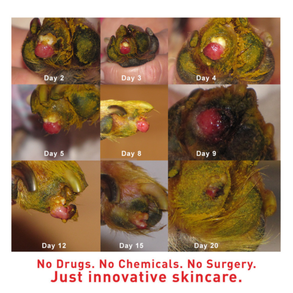 Augustine's SuperHeal