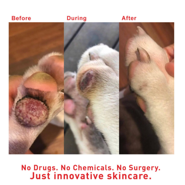 Augustine’s SuperHeal