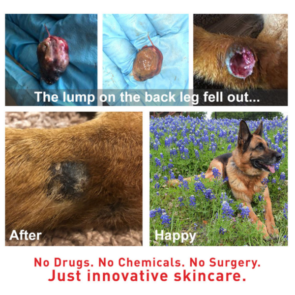 Augustine’s SuperHeal